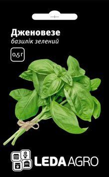 Насіння базиліка зеленого Дженовезе 0,5 г (Leda Agro) BAZ-001 фото