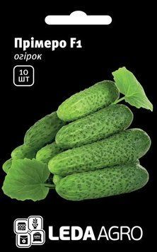 Насіння огірків Прімеро F1 10 шт (Leda Agro) OG-054 фото
