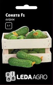 Насіння огірків Соната F1 1 г (Leda Agro) OG-058 фото