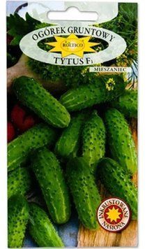 Огірок Тітус (Tytus) F1, Roltico, Польща, 5г  OG-082 фото