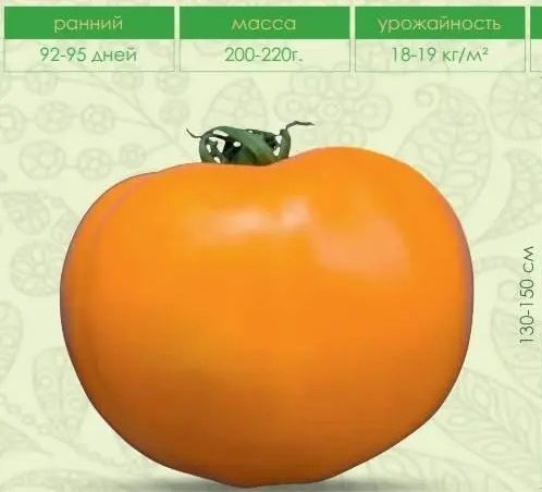 Томат Сонце 1 г Ніцсса (Молдова) TOM-163 фото