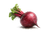 Кормовий буряк