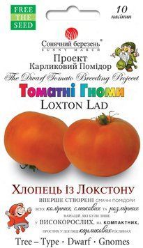 Насіння томату гном Хлопець із Локстону 10 шт (Сонячний березень) TOM-128 фото