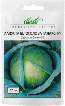 Насіння капусти Галаксі F1 20 шт (Професійне насіння) KAP-023 фото