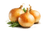 Цибуля