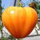 Насіння томатів Барселона F1 8 шт (Breeding Seeds) TOM-094 фото 1
